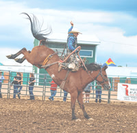 20250719dj Johnson County Fair Rodeo
