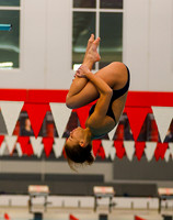 20251219dj JC DIving