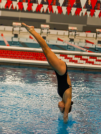 20251219dj JC DIving