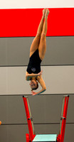 20251219dj JC DIving