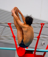 20251219dj JC DIving