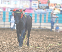 20250719dj Johnson County Fair Rodeo