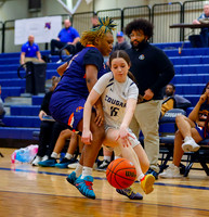 20260207dj VP at GCA GB Sectional