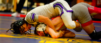20260209dj Wrestling Regionals
