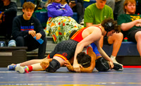 20260209dj Wrestling Regionals