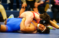 20260209dj Wrestling Regionals