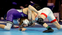 20260223dj State Wrestling Finals