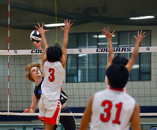 20260413dj FRK vs CG SF B VB