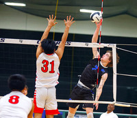 20260413dj FRK vs CG SF B VB