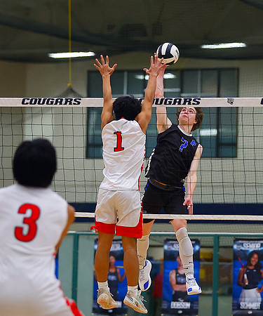20260413dj FRK vs CG SF B VB