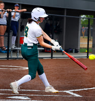 20260429dj PM vs GRN BB