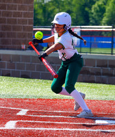 20260526dj GRN vs RU SB