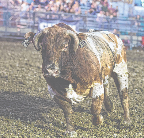 20250719dj Johnson County Fair Rodeo