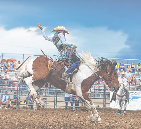 20250719dj Johnson County Fair Rodeo