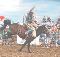20250719dj Johnson County Fair Rodeo