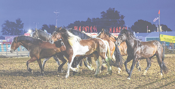 20250719dj Johnson County Fair Rodeo