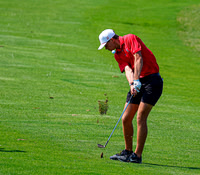 20250610dj Boys Sectional Golf
