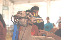 Fair fun continues for Wednesday and Thursday | July 18, 2024