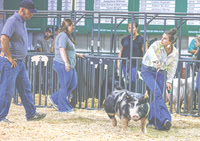 20250716dj Johnson County Fair